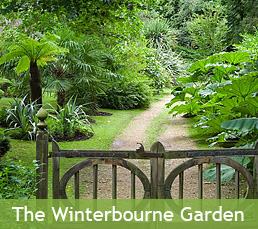 The Winterbourne Garden